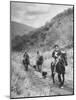 Basque Shepherder Bertrand Borda Carring a Stray Lamb Back to the Herd-Carl Mydans-Mounted Photographic Print