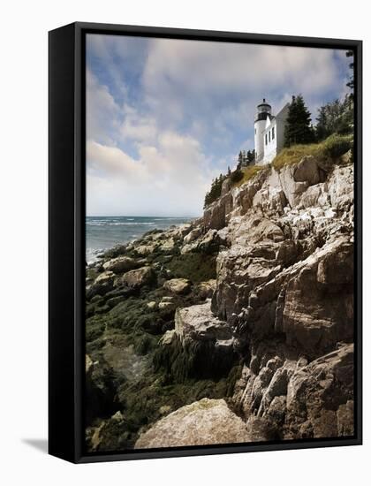 Bass Harbor Head Lighthouse & Foothill-Monte Nagler-Framed Premier Image Canvas