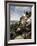 Bass Harbor Head Lighthouse & Foothill-Monte Nagler-Framed Photographic Print