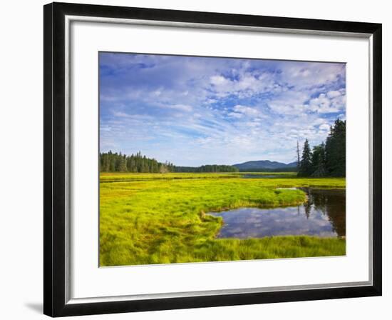 Bass Harbor Marsh in Acadia National Park, Maine, USA-Chuck Haney-Framed Photographic Print