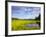 Bass Harbor Marsh in Acadia National Park, Maine, USA-Chuck Haney-Framed Photographic Print