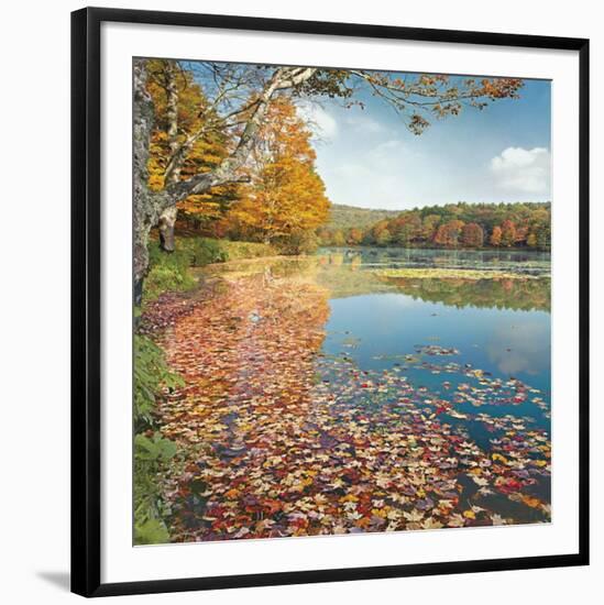 Bass Lake In Autumn II-Marty Hulsebos-Framed Art Print