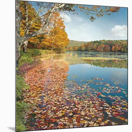 Bass Lake In Autumn II-Marty Hulsebos-Mounted Art Print