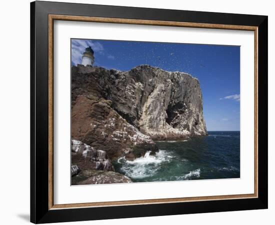 Bass Rock, Firth of Forth, Scotland, United Kingdom, Europe-Toon Ann & Steve-Framed Photographic Print