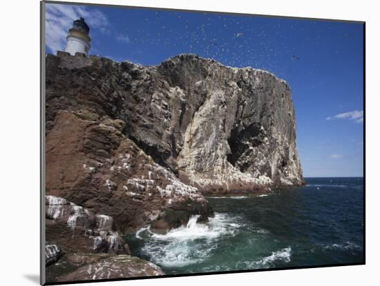 Bass Rock, Firth of Forth, Scotland, United Kingdom, Europe-Toon Ann & Steve-Mounted Photographic Print