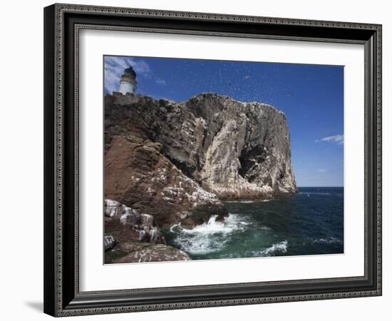 Bass Rock, Firth of Forth, Scotland, United Kingdom, Europe-Toon Ann & Steve-Framed Photographic Print