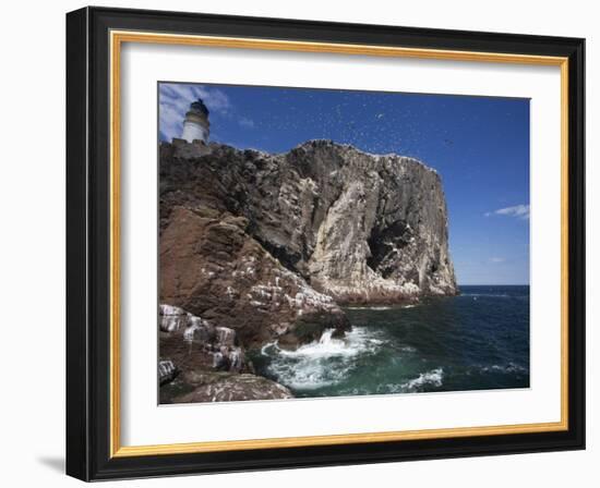 Bass Rock, Firth of Forth, Scotland, United Kingdom, Europe-Toon Ann & Steve-Framed Photographic Print