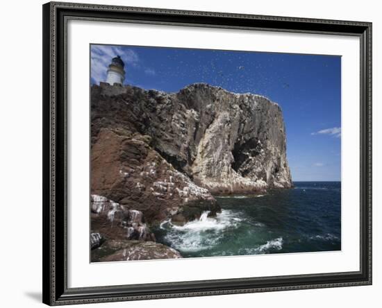 Bass Rock, Firth of Forth, Scotland, United Kingdom, Europe-Toon Ann & Steve-Framed Photographic Print