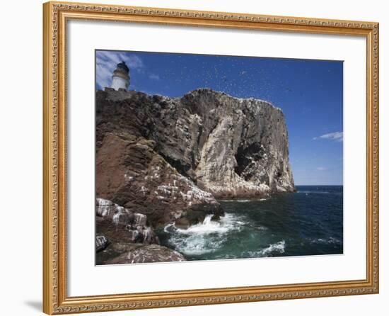 Bass Rock, Firth of Forth, Scotland, United Kingdom, Europe-Toon Ann & Steve-Framed Photographic Print