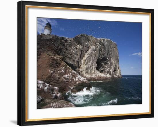 Bass Rock, Firth of Forth, Scotland, United Kingdom, Europe-Toon Ann & Steve-Framed Photographic Print