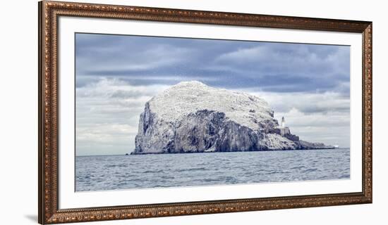 Bass Rock-Joan Gil Raga-Framed Photographic Print