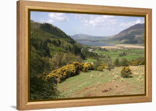 Bassenthwaite Lake from Whinlatter Pass, Lake District, Cumbria-Peter Thompson-Framed Premier Image Canvas