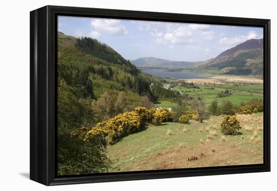 Bassenthwaite Lake from Whinlatter Pass, Lake District, Cumbria-Peter Thompson-Framed Premier Image Canvas