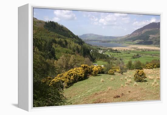 Bassenthwaite Lake from Whinlatter Pass, Lake District, Cumbria-Peter Thompson-Framed Premier Image Canvas