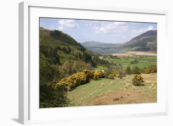 Bassenthwaite Lake from Whinlatter Pass, Lake District, Cumbria-Peter Thompson-Framed Photographic Print