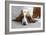 Basset Hound 03-Bob Langrish-Framed Photographic Print