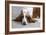 Basset Hound 03-Bob Langrish-Framed Photographic Print