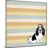 Basset Hound 1-Tammy Kushnir-Mounted Giclee Print