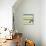 Basset Hound 2-Tammy Kushnir-Giclee Print displayed on a wall