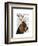 Basset Hound and Antlers-Fab Funky-Framed Art Print