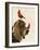 Basset Hound and Birds-Fab Funky-Framed Art Print