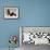 Basset Hound and Puppy-Sandro Nardini-Framed Giclee Print displayed on a wall