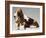 Basset Hound and Puppy-Sandro Nardini-Framed Giclee Print