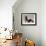 Basset Hound and Puppy-Sandro Nardini-Framed Giclee Print displayed on a wall