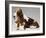 Basset Hound and Puppy-Sandro Nardini-Framed Giclee Print