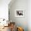 Basset Hound and Puppy-Sandro Nardini-Framed Giclee Print displayed on a wall