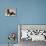 Basset Hound and Puppy-Sandro Nardini-Mounted Giclee Print displayed on a wall