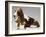 Basset Hound and Puppy-Sandro Nardini-Framed Giclee Print