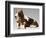 Basset Hound and Puppy-Sandro Nardini-Framed Giclee Print