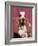 Basset Hound Breed, USA, North America-Lynn M. Stone-Framed Photographic Print