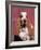 Basset Hound Breed, USA, North America-Lynn M. Stone-Framed Photographic Print