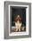 Basset Hound Carrying a Dog Bone-DLILLC-Framed Photographic Print