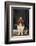 Basset Hound Carrying a Dog Bone-DLILLC-Framed Photographic Print