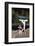 Basset Hound Fetching the Mail-DLILLC-Framed Photographic Print