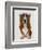 Basset Hound Flower Glasses-Fab Funky-Framed Art Print