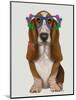 Basset Hound Flower Glasses-Fab Funky-Mounted Art Print