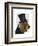 Basset Hound, Formal Hound and Hat-Fab Funky-Framed Premium Giclee Print