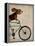 Basset Hound on Bicycle-Fab Funky-Framed Stretched Canvas