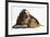 Basset Hound Puppy, Betty, 9 Weeks, with Ear over a Red Guinea Pig-Mark Taylor-Framed Photographic Print