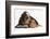 Basset Hound Puppy, Betty, 9 Weeks, with Ear over a Red Guinea Pig-Mark Taylor-Framed Photographic Print