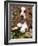 Basset Hound Puppy, USA-Lynn M. Stone-Framed Photographic Print