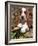 Basset Hound Puppy, USA-Lynn M. Stone-Framed Photographic Print