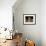 Basset Hound Puppy-Lynn M^ Stone-Framed Premium Photographic Print displayed on a wall