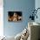 Basset Hound Puppy-Lynn M^ Stone-Photographic Print displayed on a wall