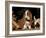 Basset Hound Puppy-Lynn M^ Stone-Framed Photographic Print