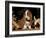 Basset Hound Puppy-Lynn M^ Stone-Framed Photographic Print